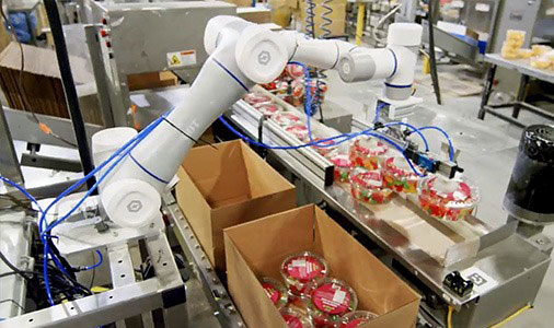 Robotic packaging automation